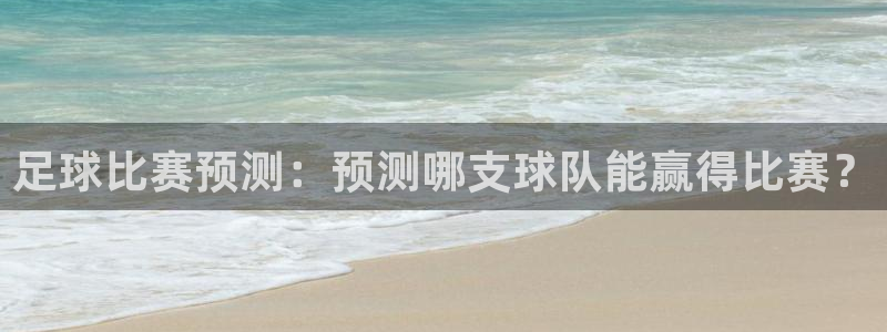 足球比赛预测：预测哪支球队能赢得比赛？
