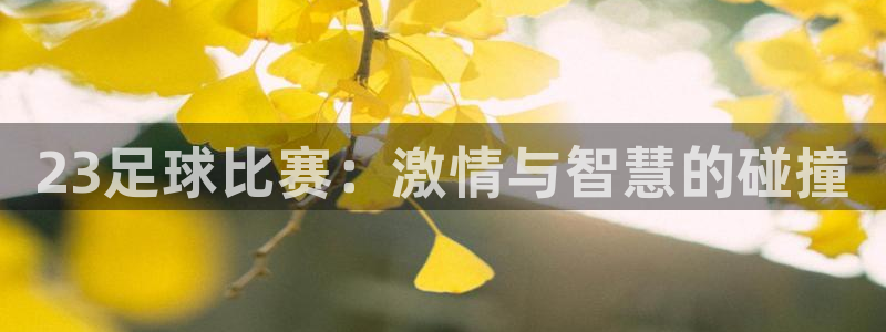 23足球比赛：激情与智慧的碰撞