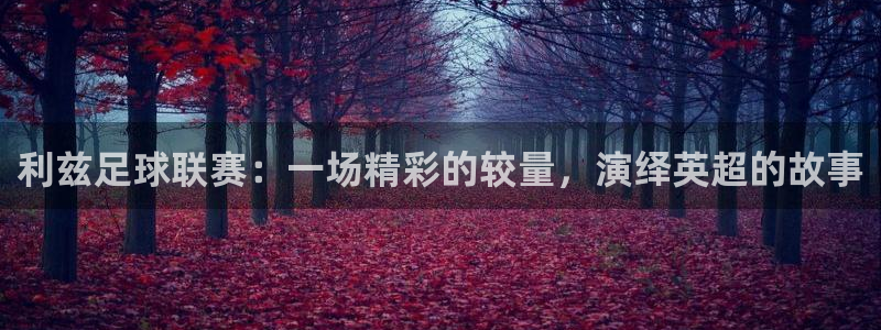 利兹足球联赛：一场精彩的较量，演绎英超的故事