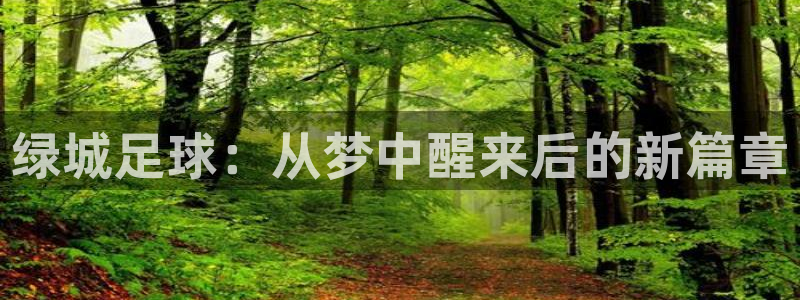 绿城足球：从梦中醒来后的新篇章