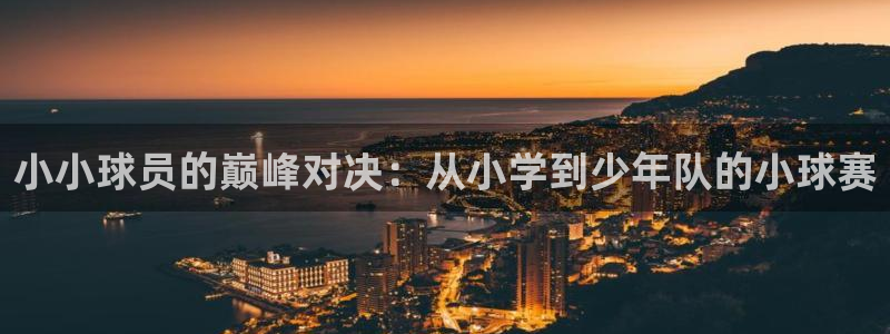 小小球员的巅峰对决：从小学到少年队的小球赛
