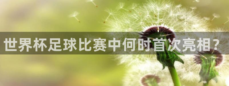  世界杯足球比赛中何时首次亮相？