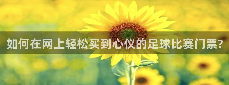 如何在网上轻松买到心仪的足球比赛门票?