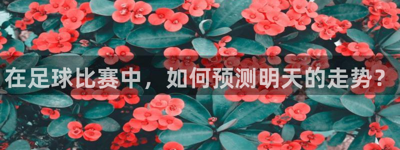  在足球比赛中，如何预测明天的走势？