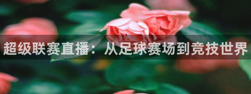 超级联赛直播：从足球赛场到竞技世界