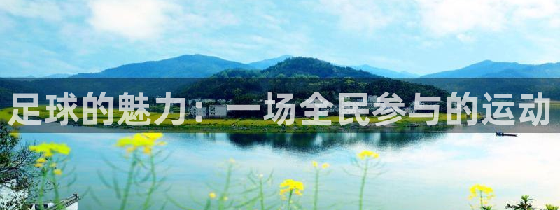 足球的魅力:一场全民参与的运动