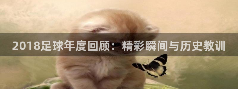 2018足球年度回顾：精彩瞬间与历史