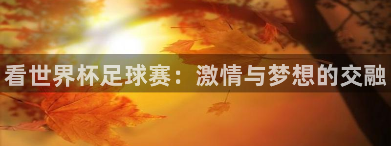  看世界杯足球赛：激情与梦想的交融