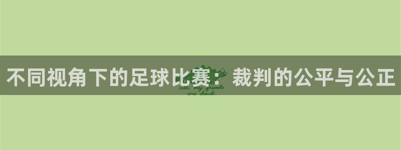 不同视角下的足球比赛:裁判的公平与公正