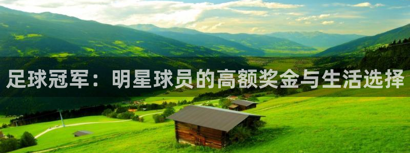  足球冠军：明星球员的高额奖金与生活选择
