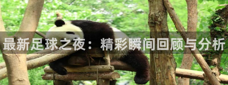 最新足球之夜:精彩瞬间回顾与分析