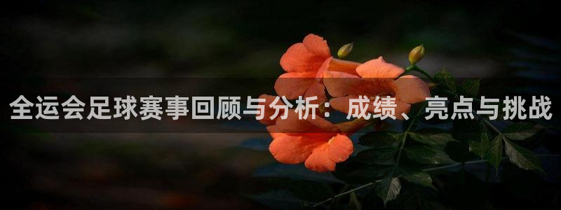  全运会足球赛事回顾与分析：成绩、亮点与挑战