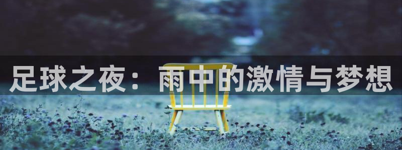  足球之夜：雨中的激情与梦想