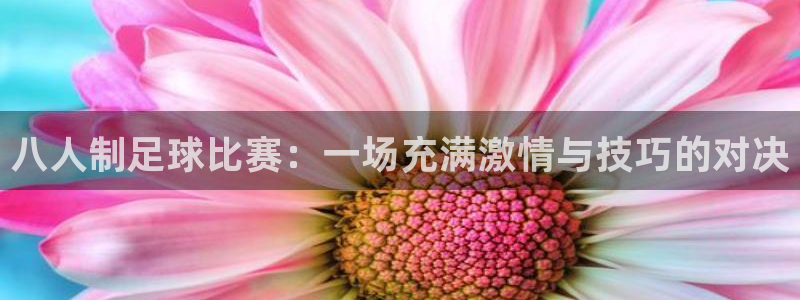  八人制足球比赛：一场充满激情与技巧的对决