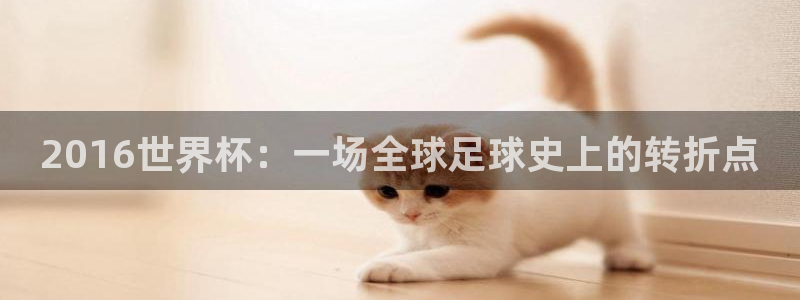  2016世界杯：一场全球足球史上的转折点