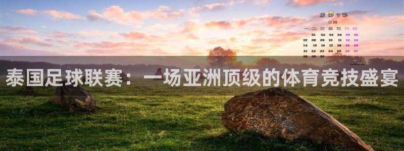  泰国足球联赛：一场亚洲顶级的体育竞技盛宴