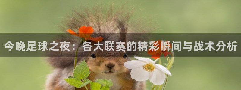  今晚足球之夜：各大联赛的精彩瞬间与战术分析
