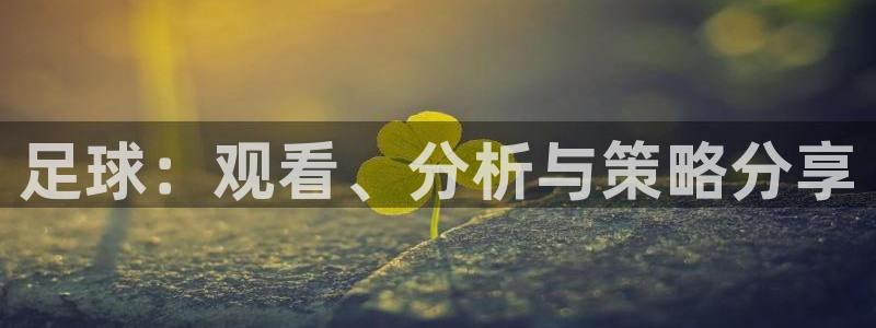  足球：观看、分析与策略分享