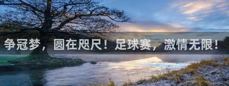  争冠梦，圆在咫尺！足球赛，激情无限！