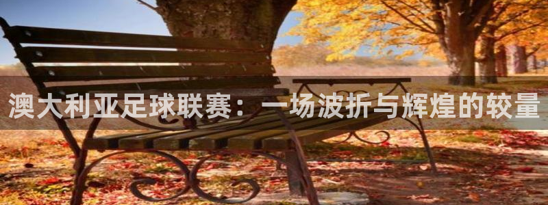 澳大利亚足球联赛：一场波折与辉煌的较量