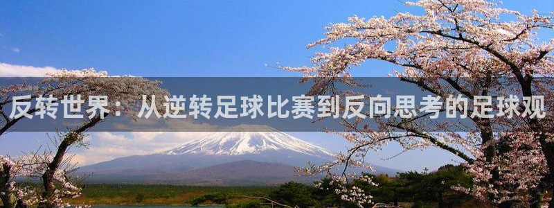 反转世界：从逆转足球比赛到反向思考的足球观