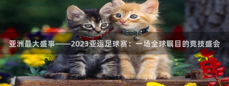  亚洲最大盛事——2023亚运足球赛：一场全球瞩目的竞技盛会