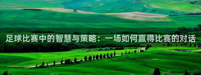 足球比赛中的智慧与策略：一场如何赢得比赛的对话