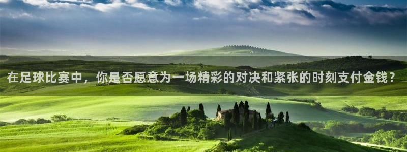  在足球比赛中，你是否愿意为一场精彩的对决和紧张的时刻支付金钱