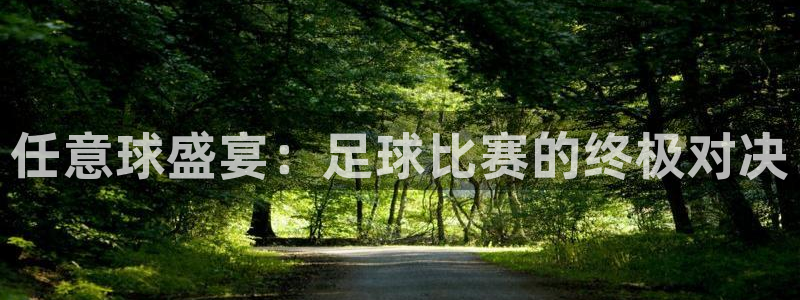 任意球盛宴：足球比赛的终极对决