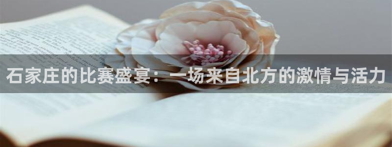  石家庄的比赛盛宴：一场来自北方的激情与活力