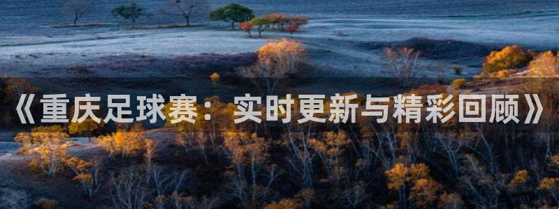  《重庆足球赛：实时更新与精彩回顾》