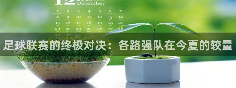 足球联赛的终极对决：各路强队在今夏的较量