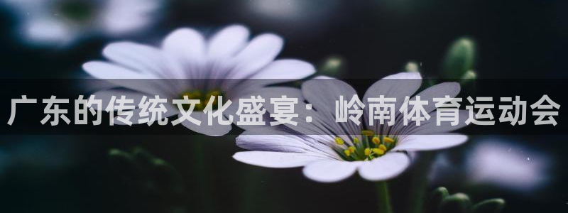 bbin视讯游戏官网：广东的传统文化盛宴：岭南体育运动会