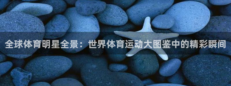 bbin视讯游戏官网：全球体育明星全景：世界体育运动大图鉴中的精彩瞬间