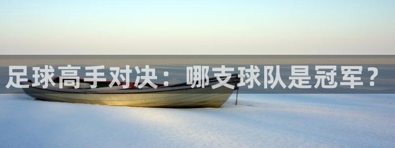 足球高手对决：哪支球队是冠军？