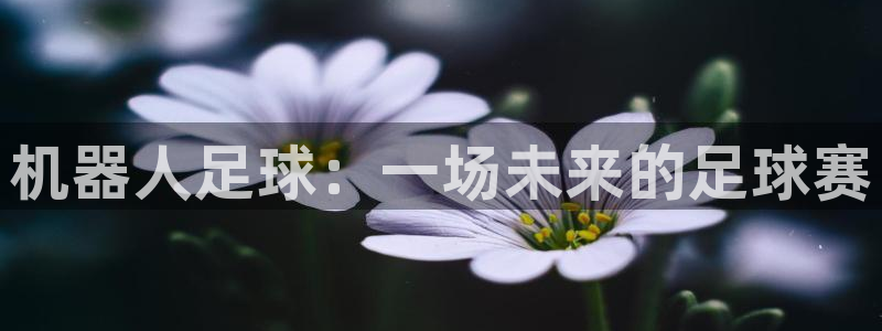 机器人足球：一场未来的足球赛