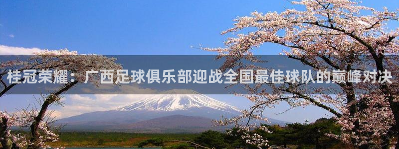桂冠荣耀：广西足球俱乐部迎战全国最佳