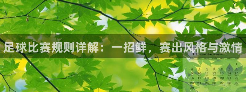 足球比赛规则详解：一招鲜，赛出风格与