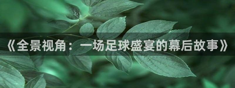 《全景视角：一场足球盛宴的幕后故事》