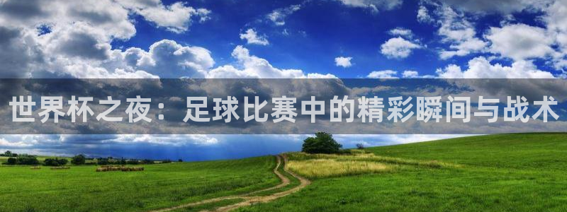 世界杯之夜：足球比赛中的精彩瞬间与战