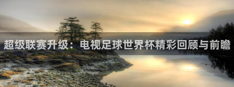 超级联赛升级：电视足球世界杯精彩回顾