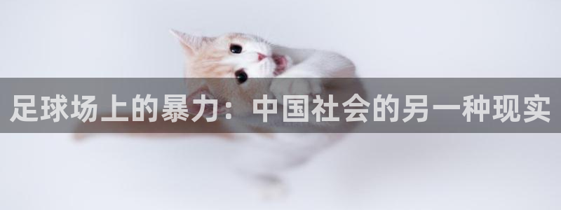 足球场上的暴力：中国社会的另一种现实