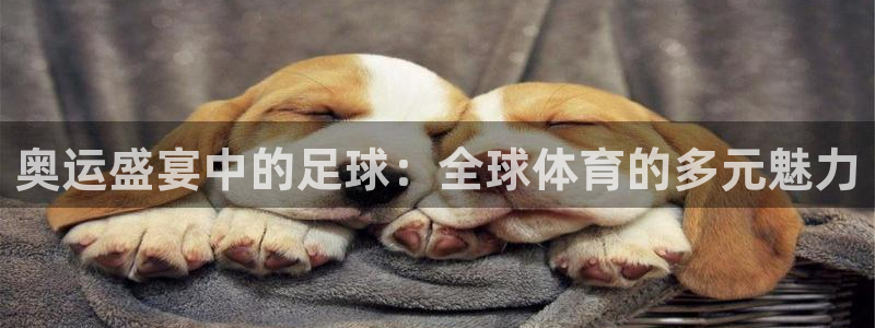 奥运盛宴中的足球：全球体育的多元魅力