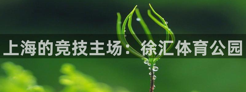 bbin视讯下