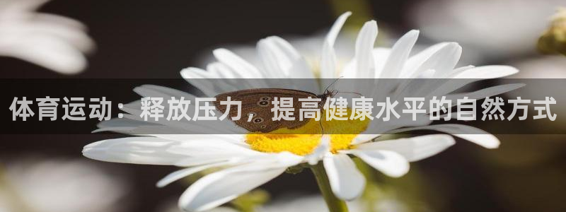 bbin视讯：体育运动：释放压力，提高健康水平的自然方式
