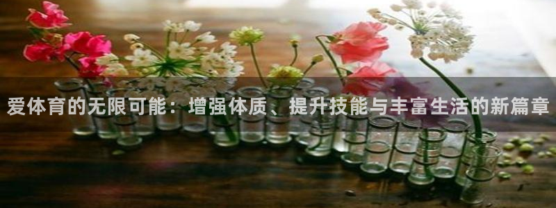 bbin视讯游戏平台